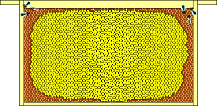 1800 Sealed Brood Cells