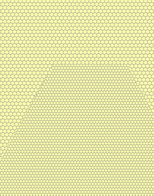 Layout of worker & drone cells