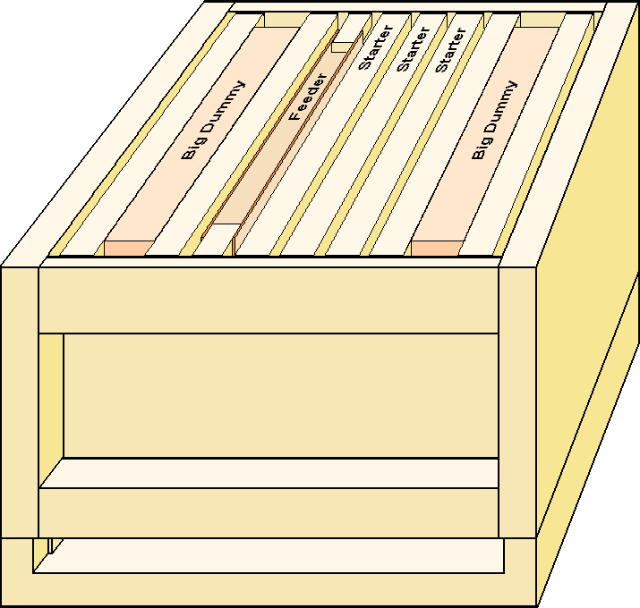 Layout at the start of the nest regeneration