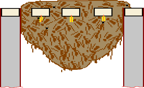 three frames with skimpy starter strips between two dummy or division boards