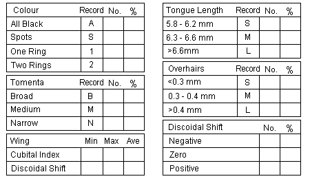 Details Matrix