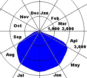 Annual cycle of drone numbers in a colony