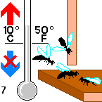 Folbex VA Fig. 7