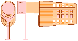 Jz-Bz Queen Cage