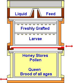 Stage 3