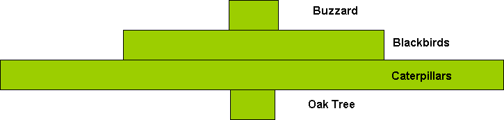 Pyramid of Numbers involving a Willow Tree, drawn to same scale as fig 2.3