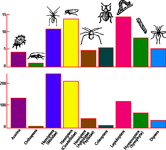 The community of phytophages found on S. caprea