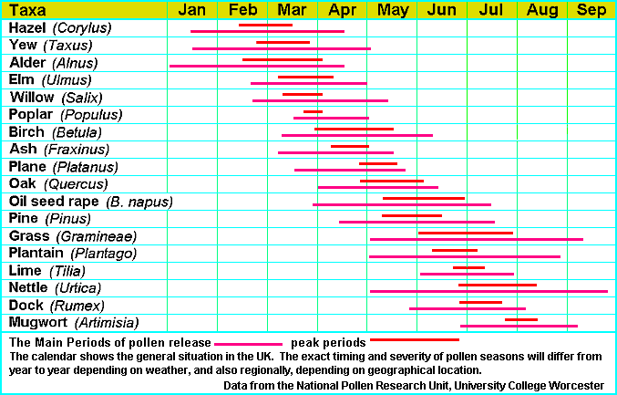 Pollen Calendar data by N.P.A.R.U. Graphic by... Dave Cushman