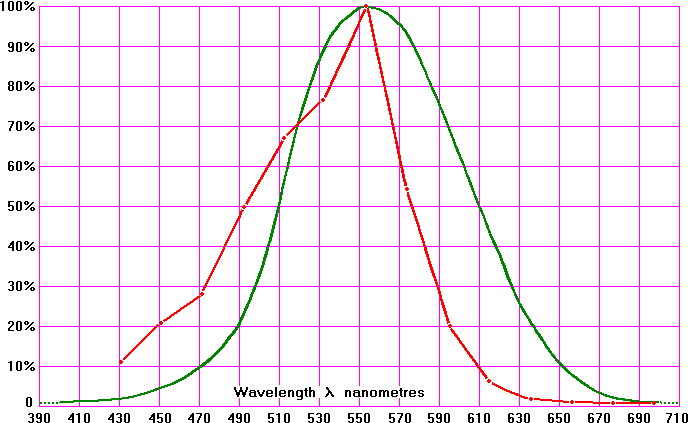 Spectrum of bees eysight