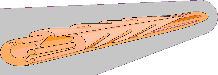 Oblique partial section of honey bee sting against an outline of a needle tip