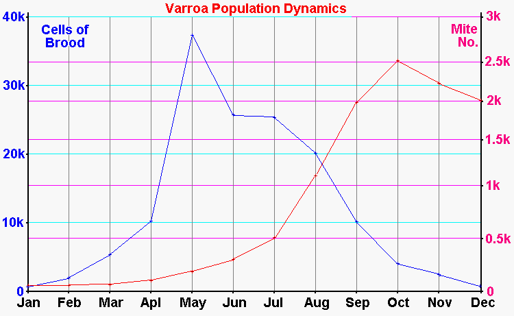 Varroa Population Dynamics