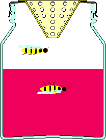 cross section of wasp trap