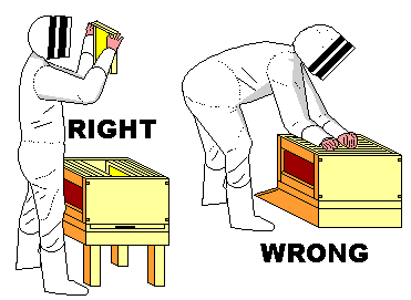 Examination of Comb