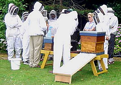 BIBBA queen rearing demonstration, Photo... Richie Moran