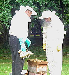 Examination in progress, David Lee and Aengus, Photo... Richie Moran