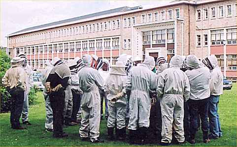 Group examining a hive, Photo... Michael Gleeson