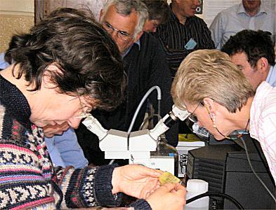 Queen in cage and using microscope, Photo... Ruary Rudd