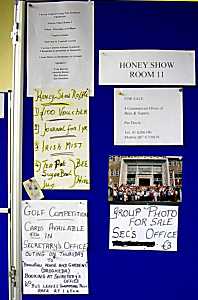 notice board in the main corridor