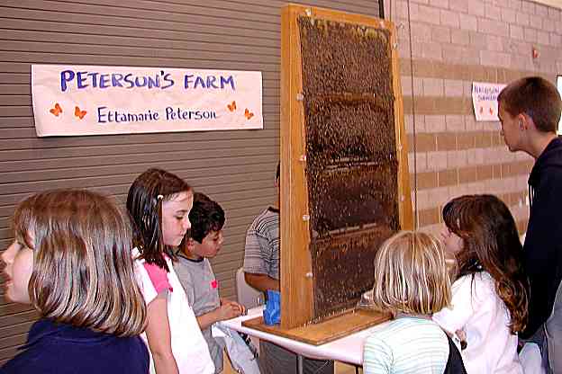 Ettamarie's observation hive