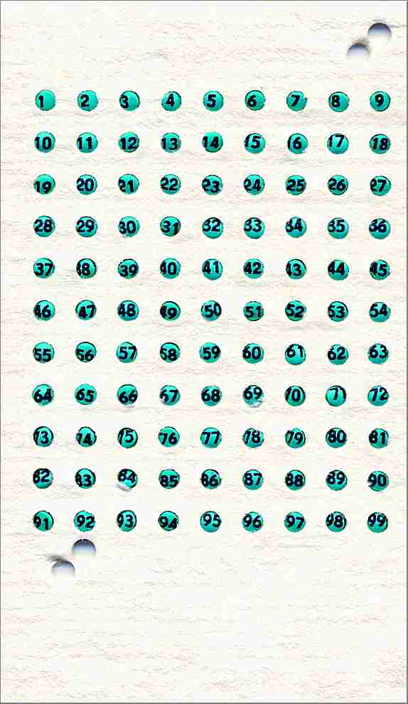 Queen Marking Numbers produced at Dol Bee Institute